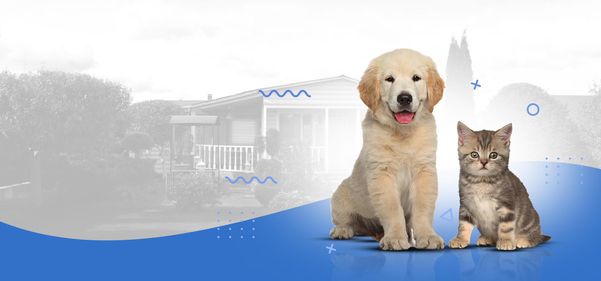 Best pet care in ooty